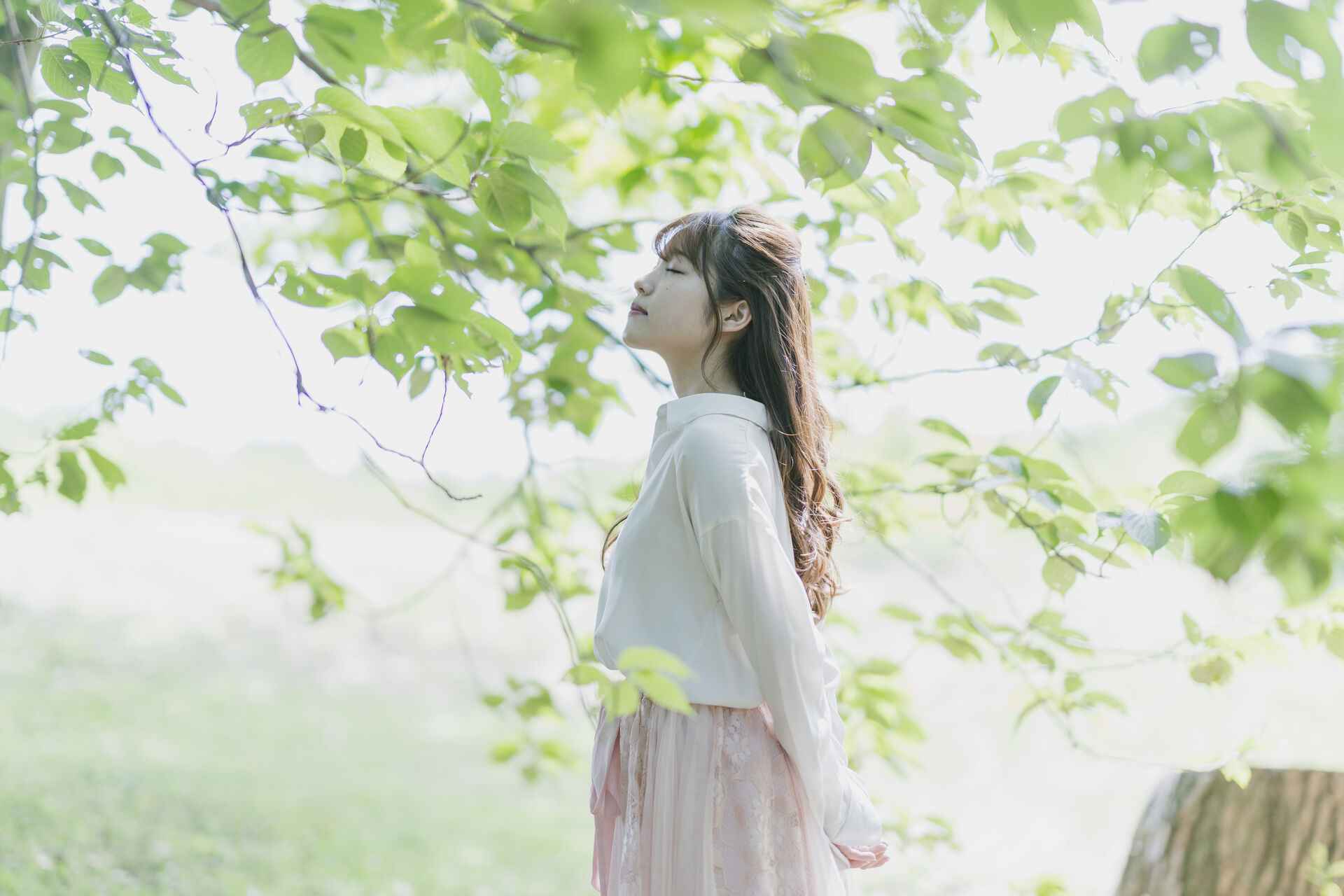 AdobeStock_267749252